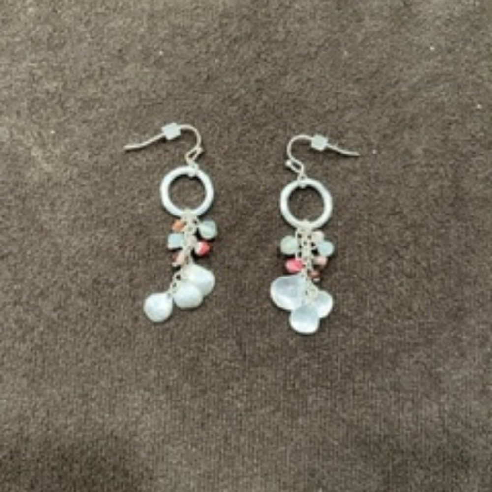 Silver Colored Earrings